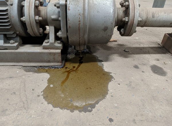 fb2e5d1b0ab1903f2a38a8ca7bd17b65_1768288759_2534.png fb2e5d1b0ab1903f2a38a8ca7bd17b65_1768288759_2534.png