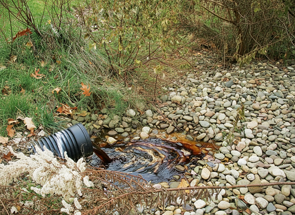 152eabdd6c5a2a5d8a64d7b88419cb66_1768791268_9373.png 152eabdd6c5a2a5d8a64d7b88419cb66_1768791268_9373.png