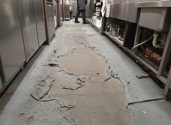 5270dcb829d73a0435edcb4d364d801e_1768437102_2501.png 5270dcb829d73a0435edcb4d364d801e_1768437102_2501.png